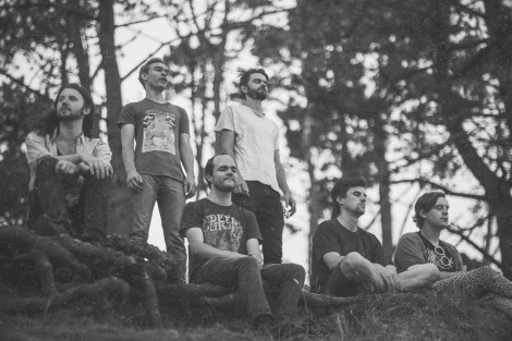 mice on stilts 2016 2