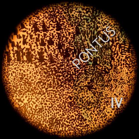 12494885_1031433933546736_3774458386847965636_n