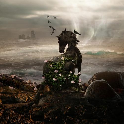 1385503_604617139579677_1696898089_n