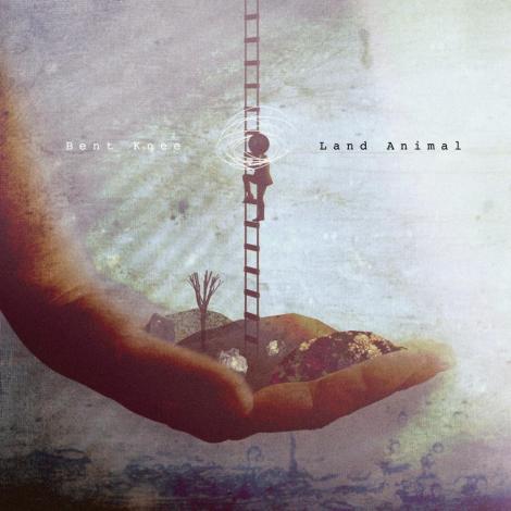 cover_401481842017_r