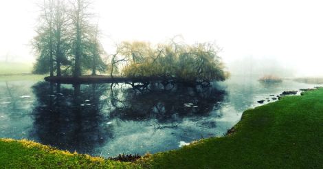 16177529_1443636458990830_3674710358674169503_o (1)