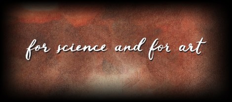 54729076_2183571405041851_4076517816147116032_n