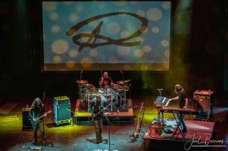 60897102_2963561103655788_7456453483764383744_o