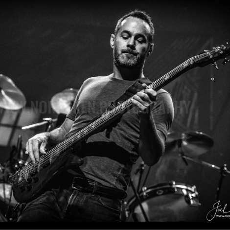 Untitled design (21)