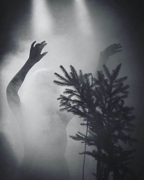 79327336_1268960126625022_6835228164235460608_o